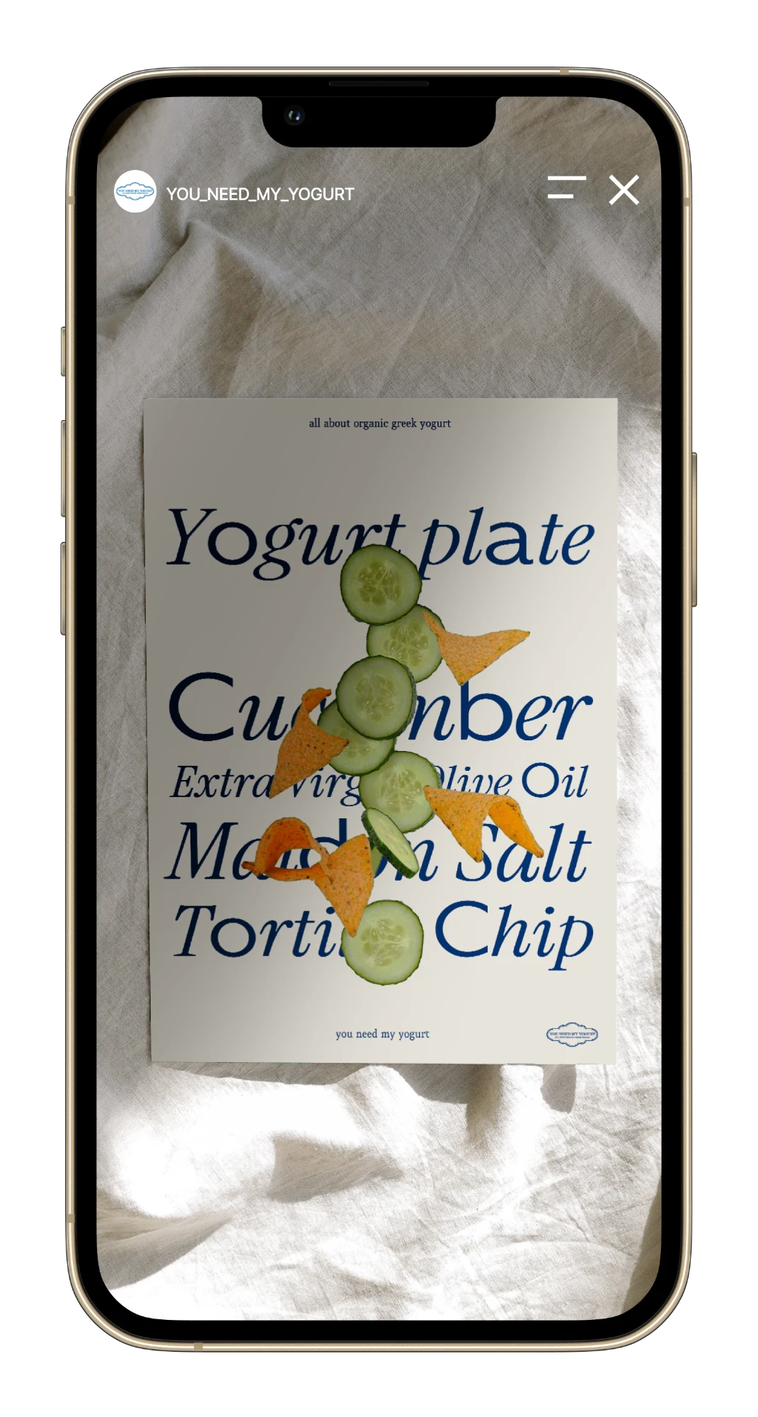 Instagram story: Yogurt plate poster mockup on linen