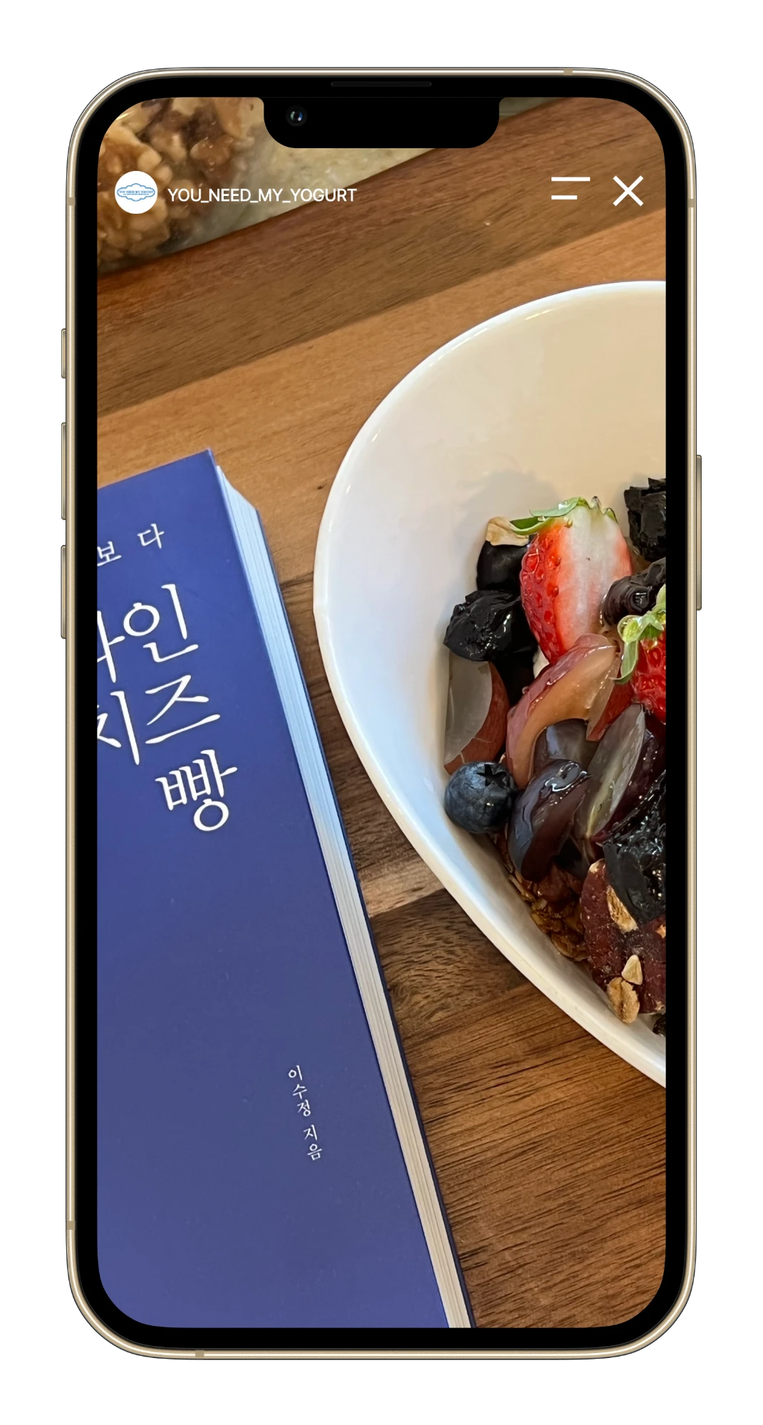 Instagram story: granola bowl with book